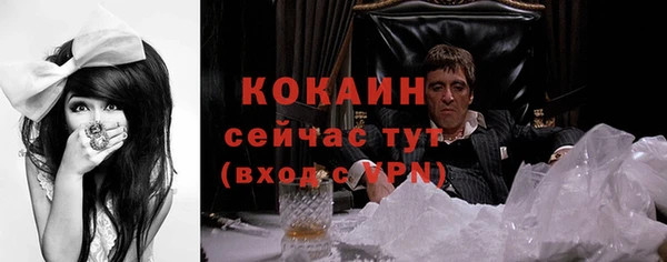 прущие грибы Аркадак