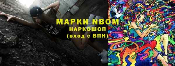 прущие грибы Аркадак