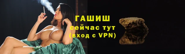 прущие грибы Аркадак