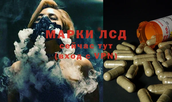 прущие грибы Аркадак