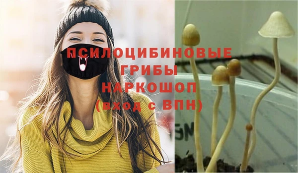 мдма Няндома