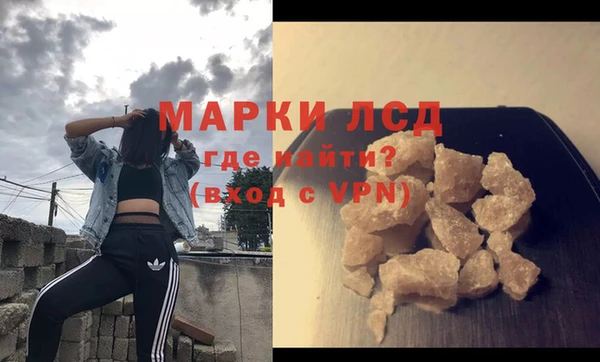 прущие грибы Аркадак